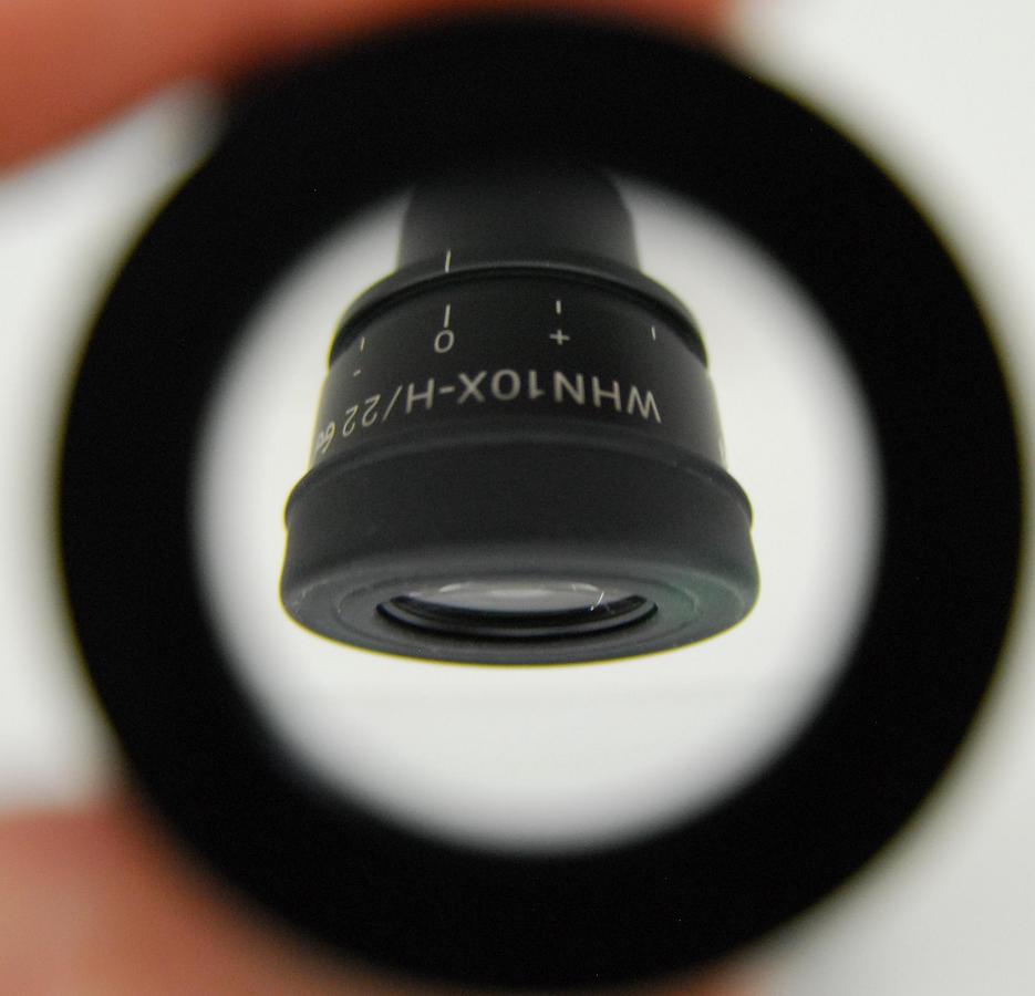 Used Olympus WHN10X-H/22 WHN10X/22 Microscope Eyepiece Set