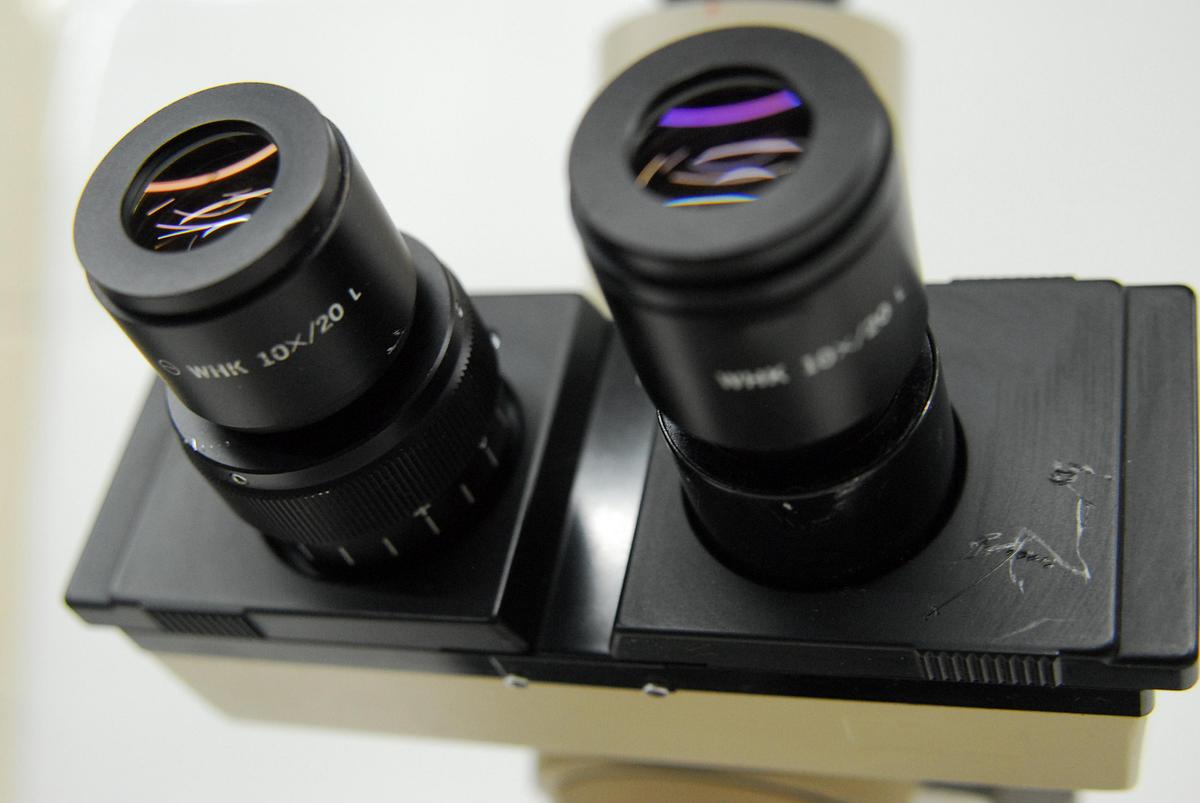 Used Olympus BH-2 BHTU Trinocular Microscope W/ DPlan 4/10/20/40 Objectives