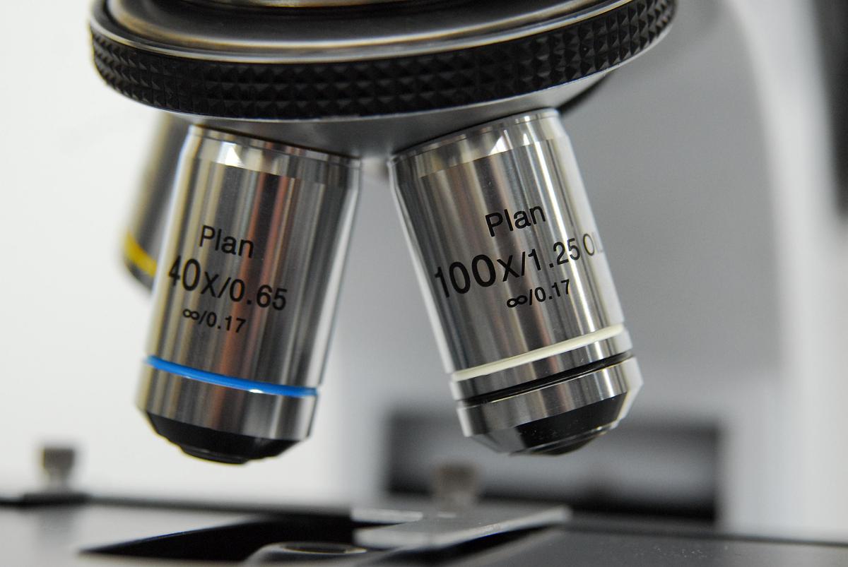 Used Labomed LB-701 Trinocular Upright Fluorescence Microscope W/ Infinite Plan Objectives, Filter Cubes