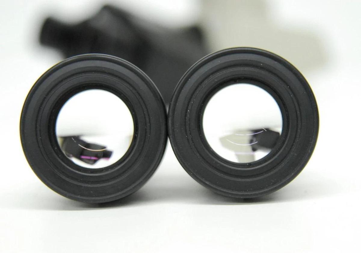 Used Nikon F Trinocular Microscope Head W/ CFW10x Eyepieces -  Labo/Opti/Alpha