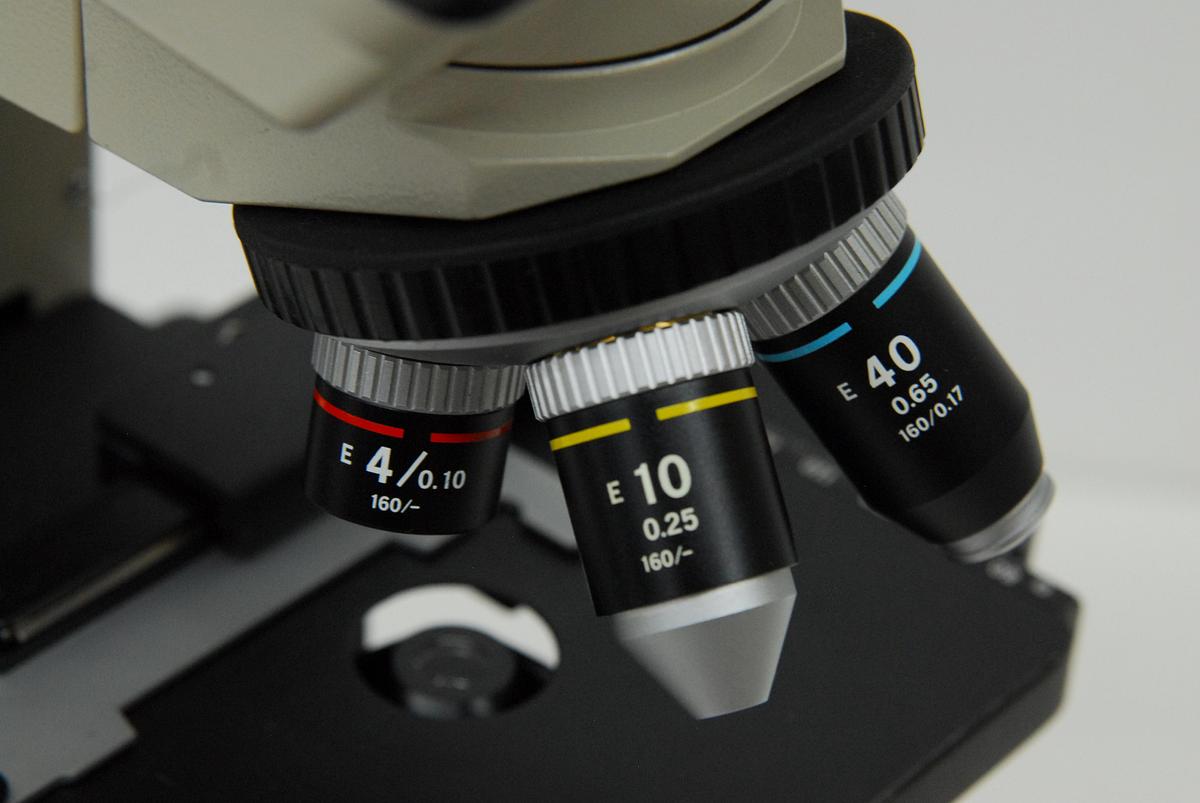 Used Nikon Alphaphot YS Binocular Microscope W/ 4x/10x/40x Objectives