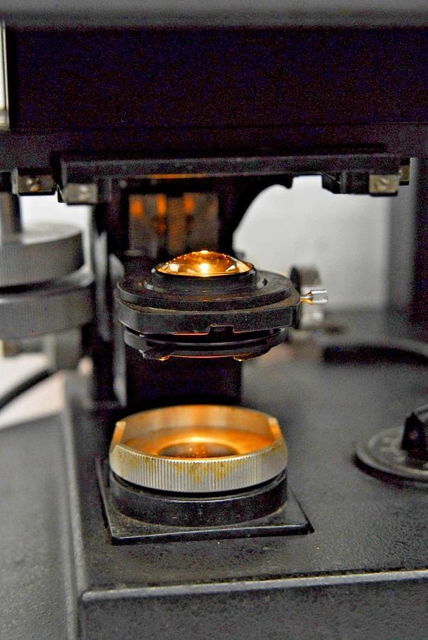 Used Bausch & Lomb High Power Stereoviewer Comparison Microscope