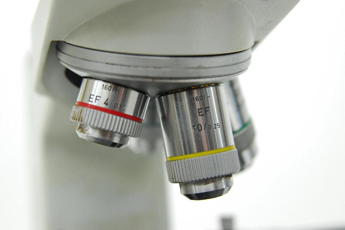 Used Leitz Laborlux D 512795 Binocular Microscope W/ EF 4/10/25/40 Objectives