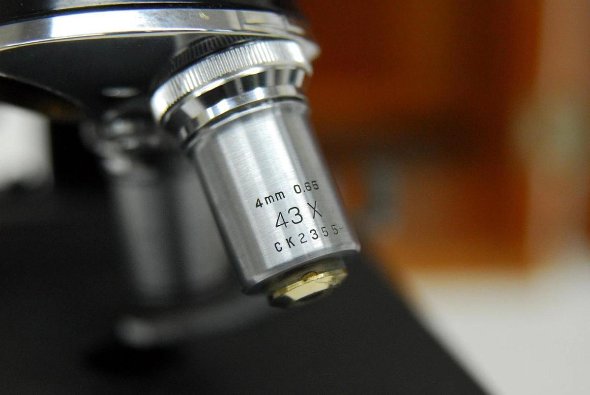 Used Vintage Bausch & Lomb Binocular Microscope W/ 43x/97x Obj/Case/WF 10X Eyepieces