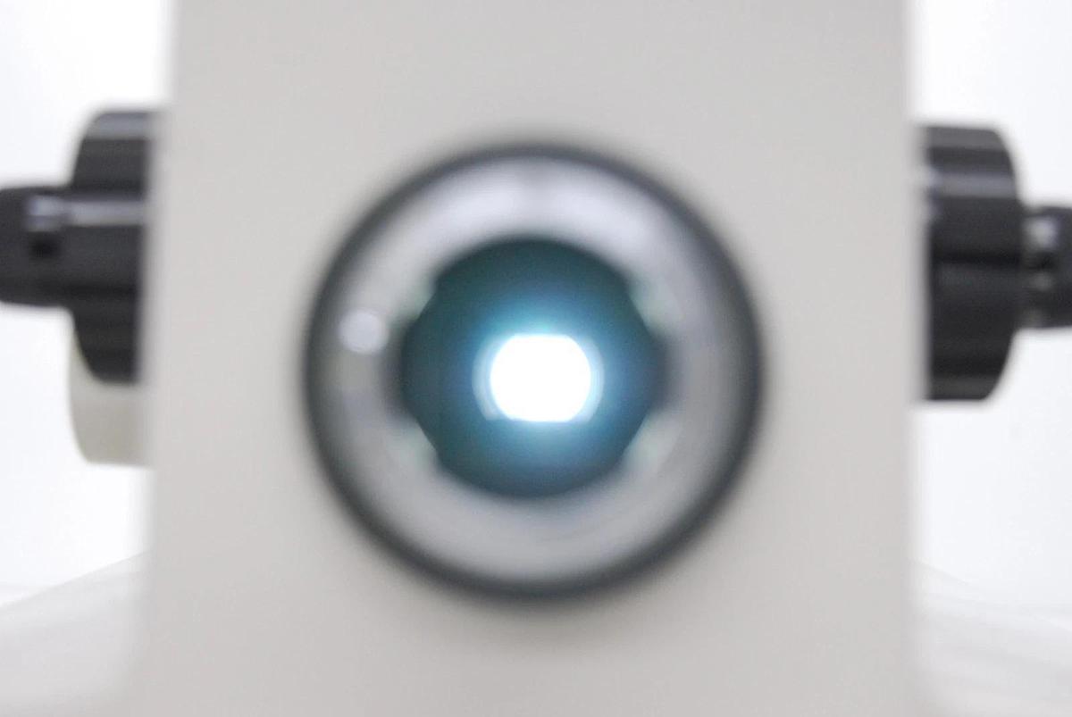 Used Nikon Diaphot TDM Inverted Microscope - Read Description