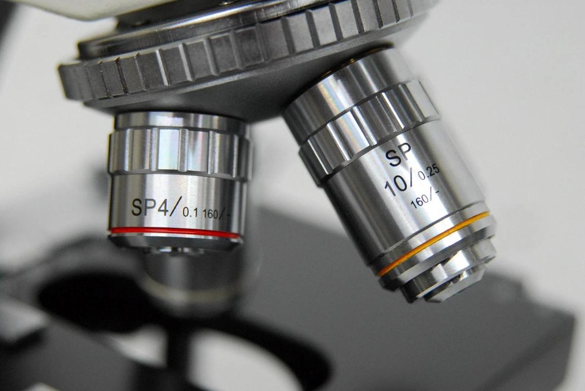 Used VWR Vistavision Compound Microscope W/ SP 4x/10x/40x/100x Objectives