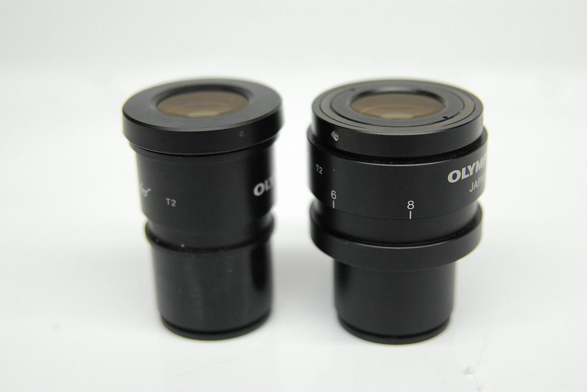 Used Olympus WH10X-H/22 WH10X/22 T2 Eyepiece Set (30mm)