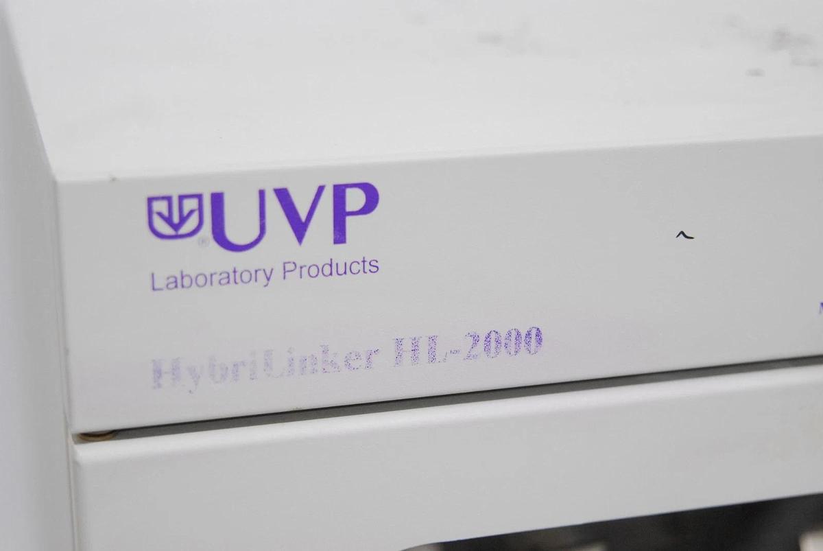 Used UVP 95-0031-01 HybriLinker HL-2000 Digital Hybridization Oven w/ UV Crosslinker