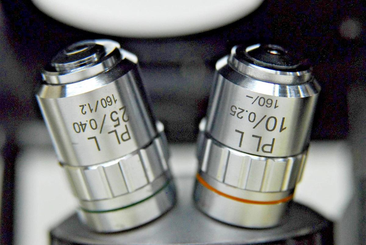 Used VWR VistaVision Inverted Trinocular Microscope W/ 10x, 25x PL L Objectives