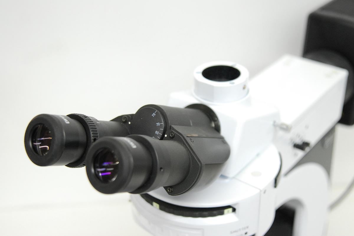 Used Labomed LB-701 Trinocular Upright Fluorescence Microscope W/ Infinite Plan Objectives, Filter Cubes