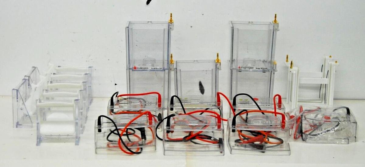 Used Invitrogen XCell SureLock Mini-Cell Electrophoresis System - EI0001 *Lot*