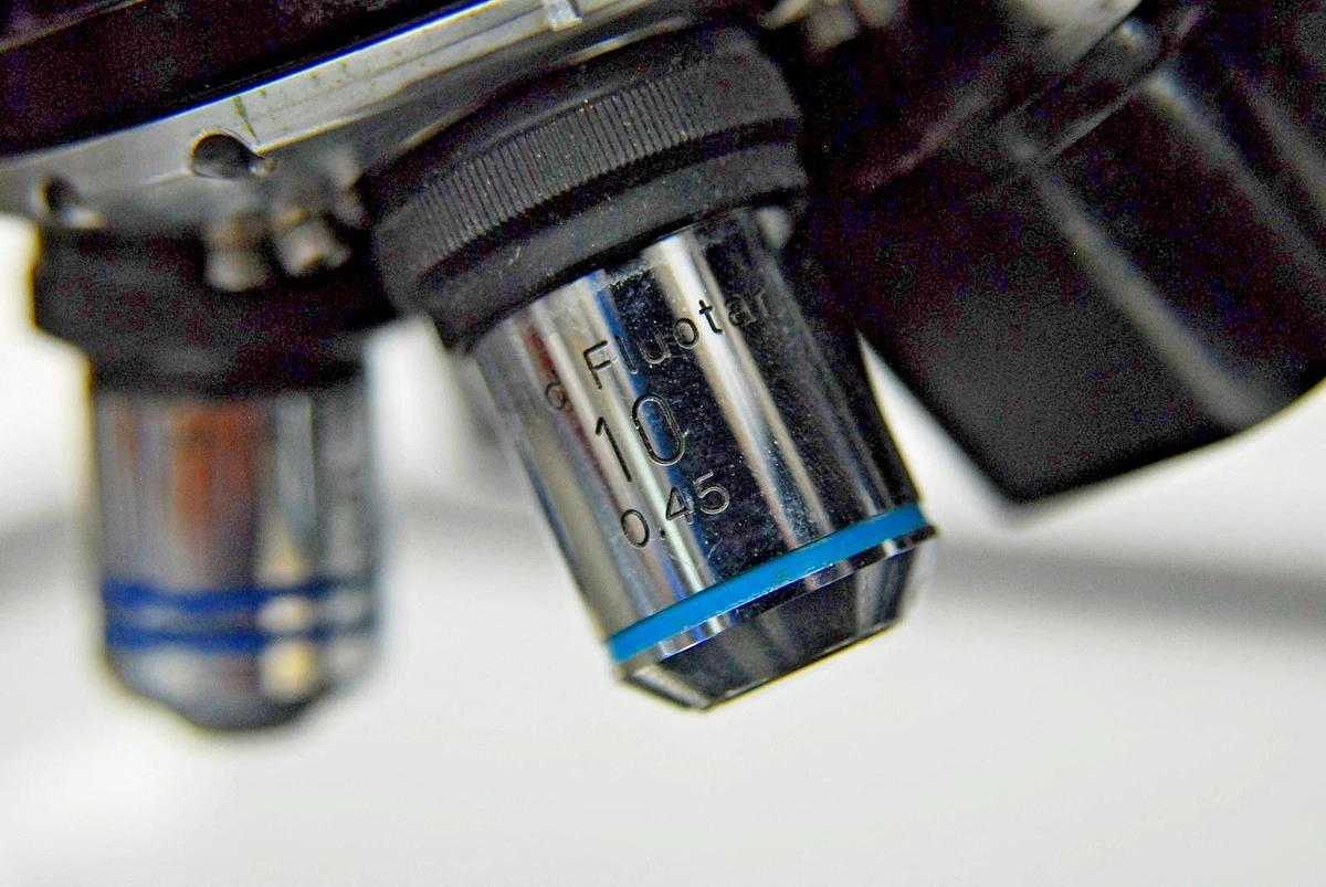 Used Bausch & Lomb High Power Stereoviewer Comparison Microscope