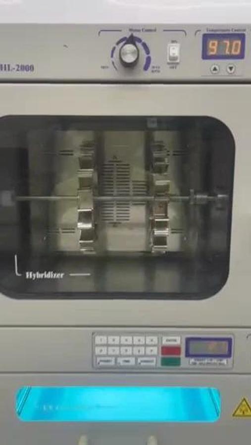 Used UVP 95-0031-01 HybriLinker HL-2000 Digital Hybridization Oven w/ UV Crosslinker