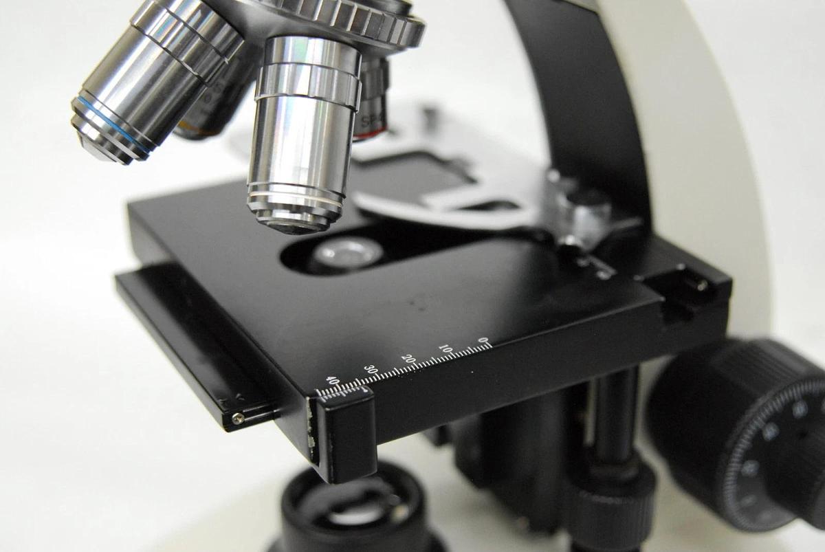 Used VWR Vistavision Compound Microscope W/ SP 4x/10x/40x/100x Objectives