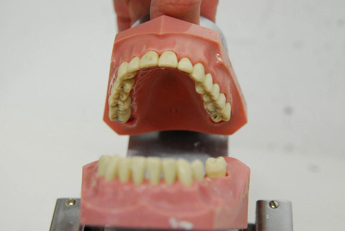 Used Hanau Varsity Manikin Dental Articulator PAT 1682904