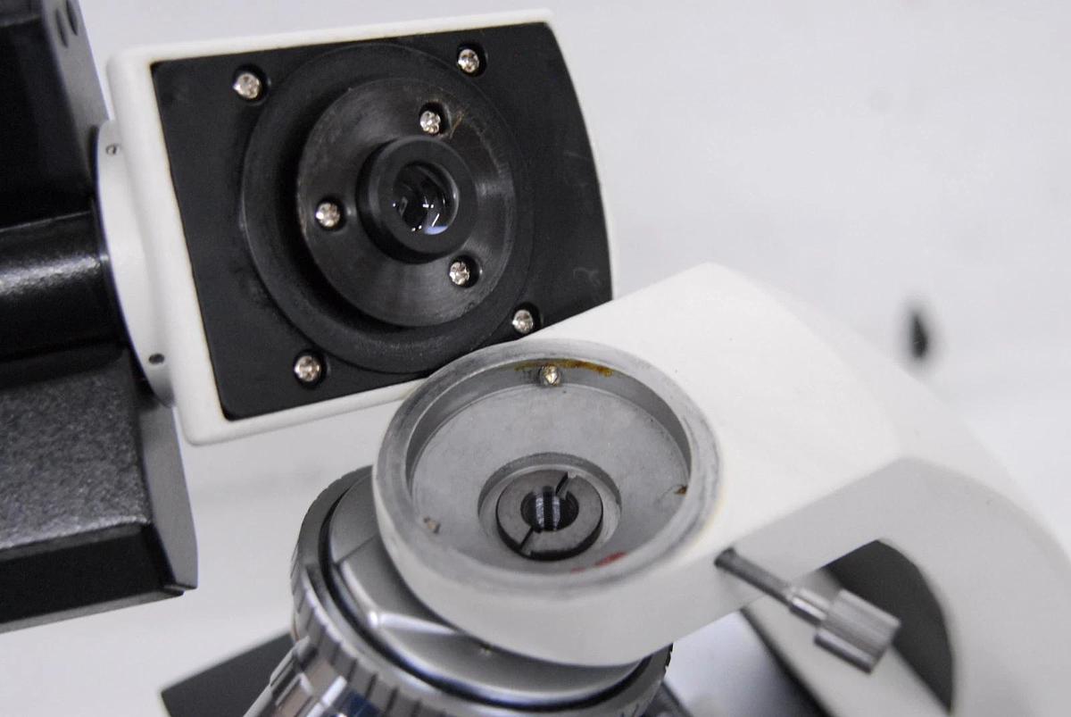 Used VWR Vistavision Compound Microscope W/ SP 4x/10x/40x/100x Objectives