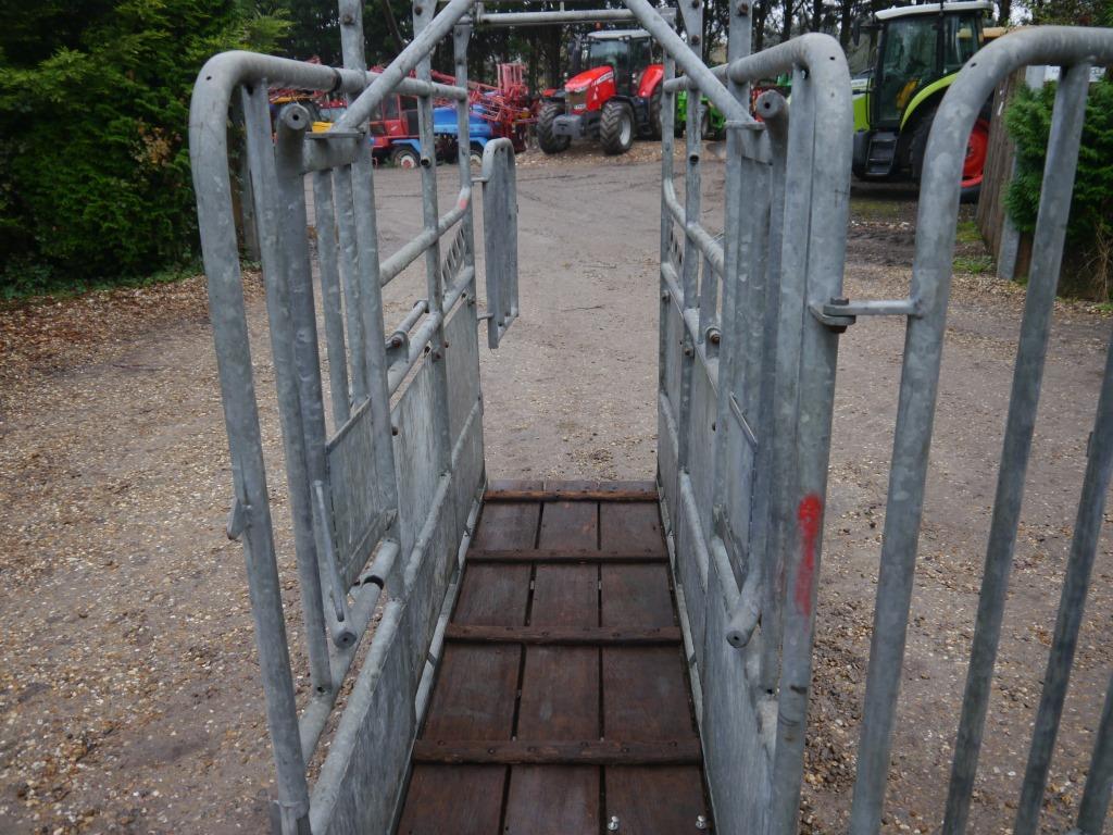 Used Loddon Cattle Crush