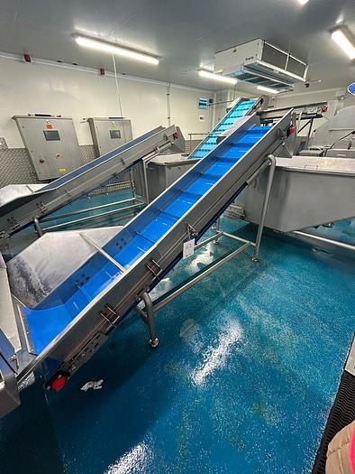 Used COMPLETE VEGETABLE PREPARATION LINE  AGRITECH