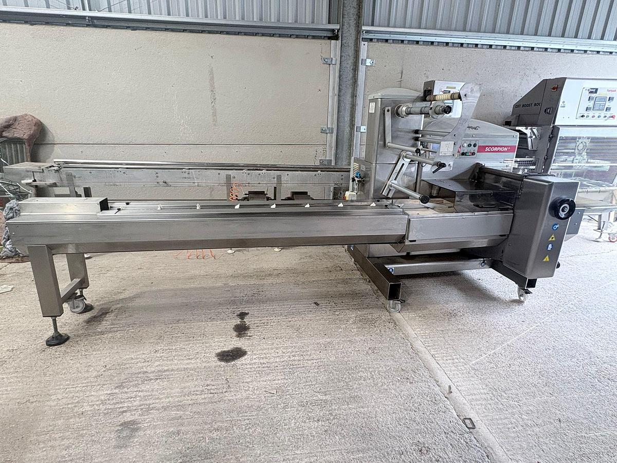 Used Record  Scorpion