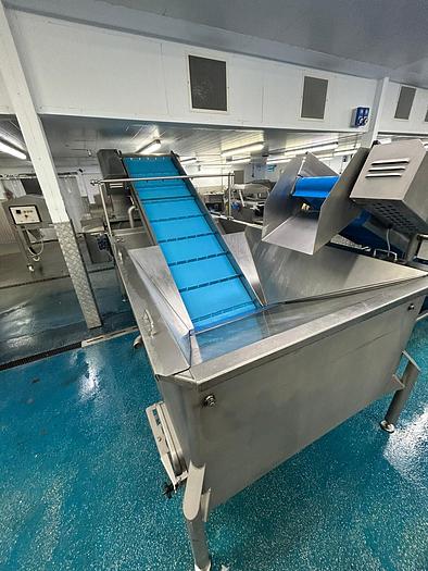 Used COMPLETE VEGETABLE PREPARATION LINE  AGRITECH