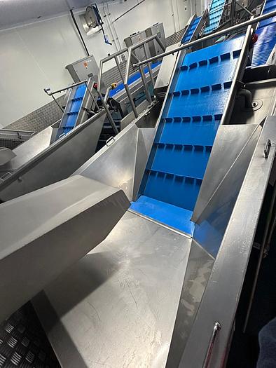 Used COMPLETE VEGETABLE PREPARATION LINE  AGRITECH