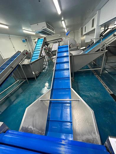 Used COMPLETE VEGETABLE PREPARATION LINE  AGRITECH