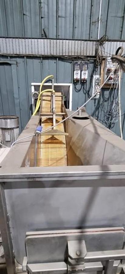 Used M&P Engineering Full Onion Peeling Line