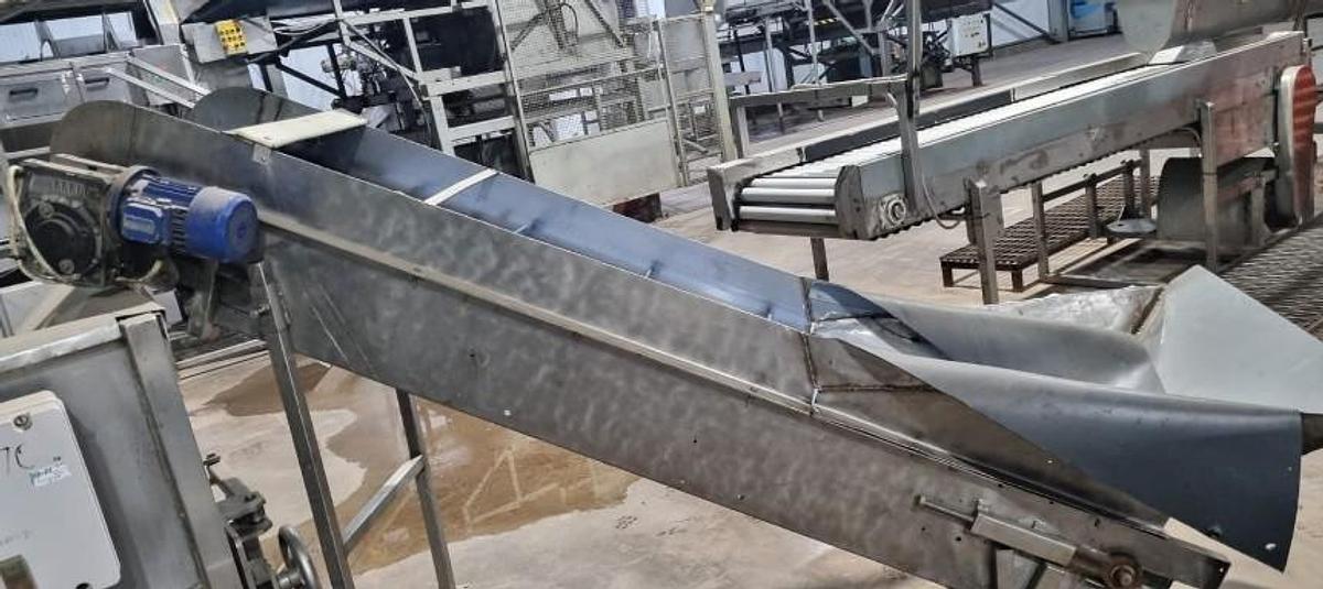 Used M&P Engineering Full Onion Peeling Line