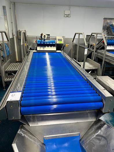 Used COMPLETE VEGETABLE PREPARATION LINE  AGRITECH