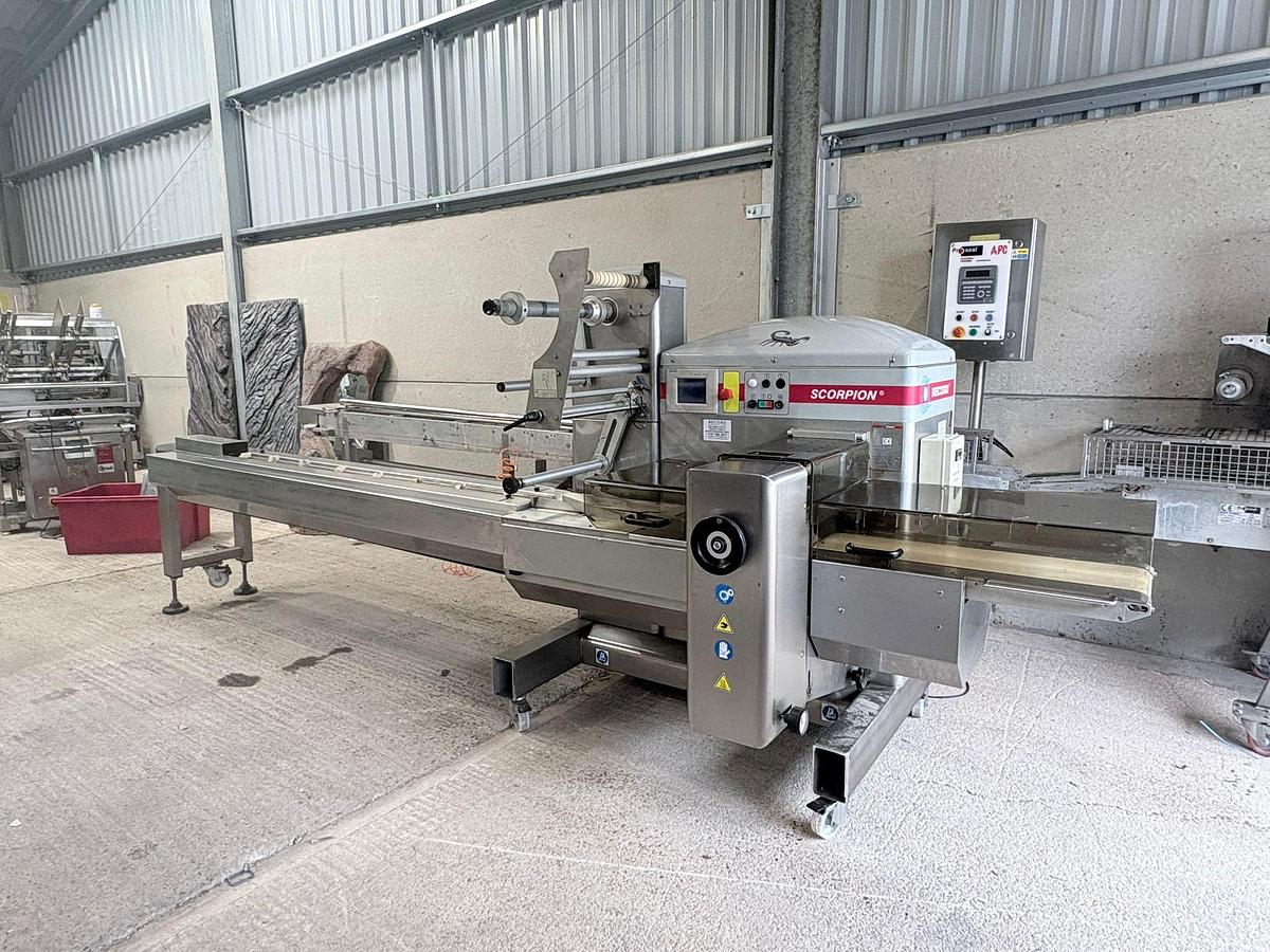 Used Record  Scorpion