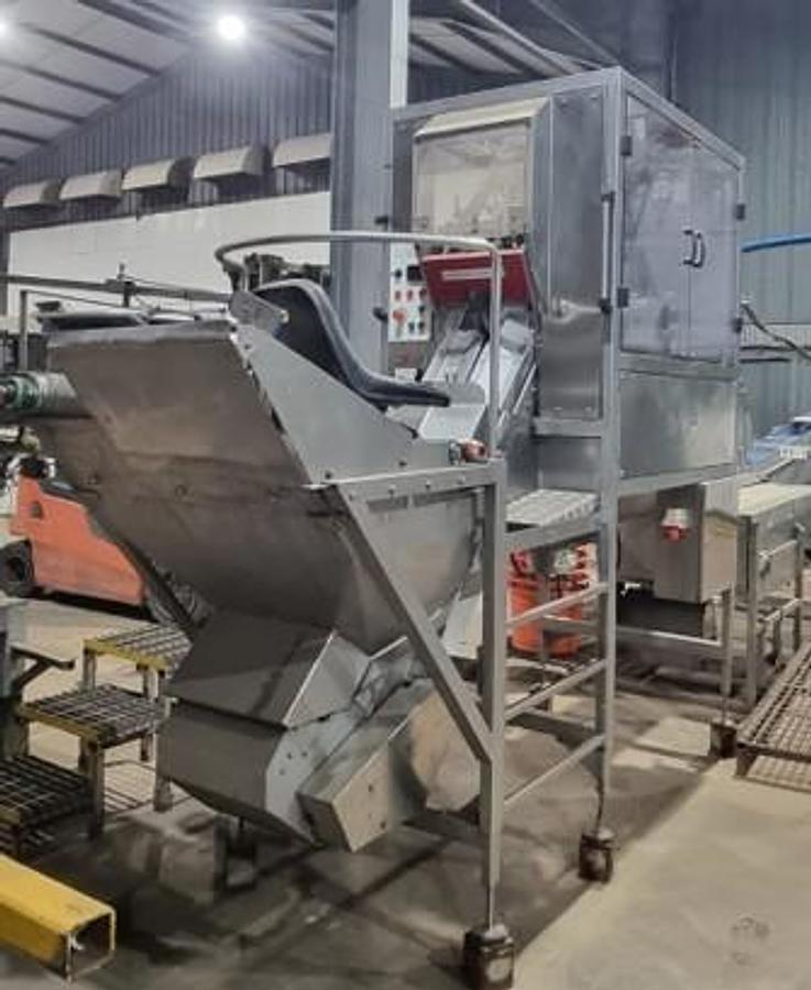 Used M&P Engineering Full Onion Peeling Line
