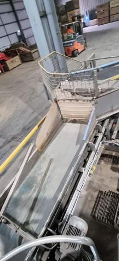 Used M&P Engineering Full Onion Peeling Line