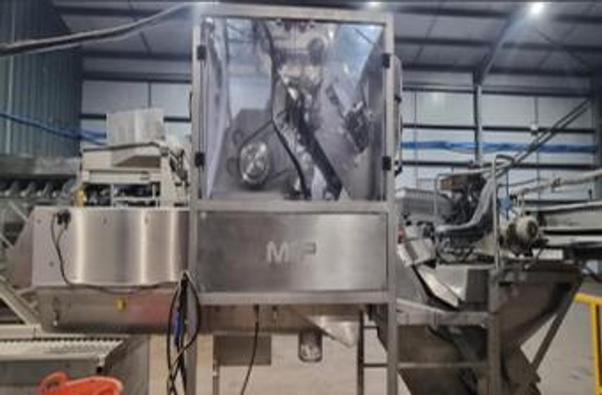 Used M&P Engineering Full Onion Peeling Line