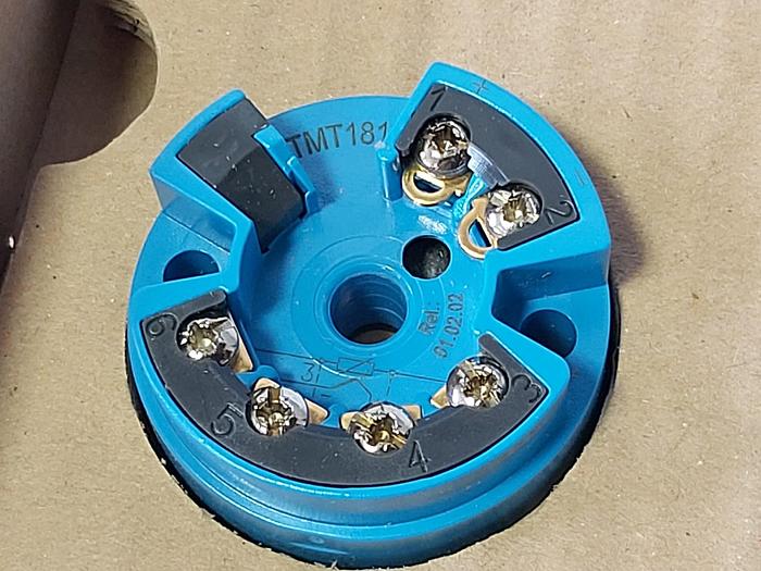 Endress und Hauser TMT181 BAAAA, 0 bis 100°C,