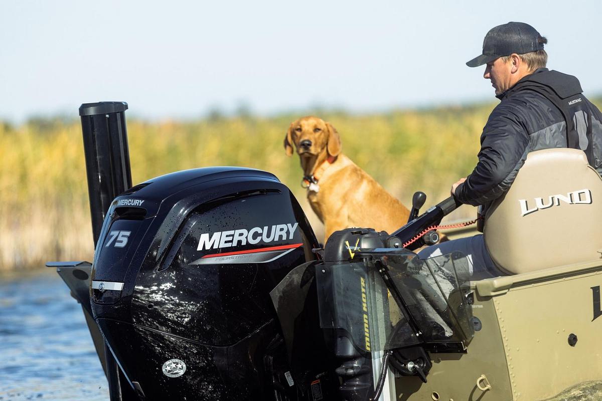 FourStroke 75-150 hp