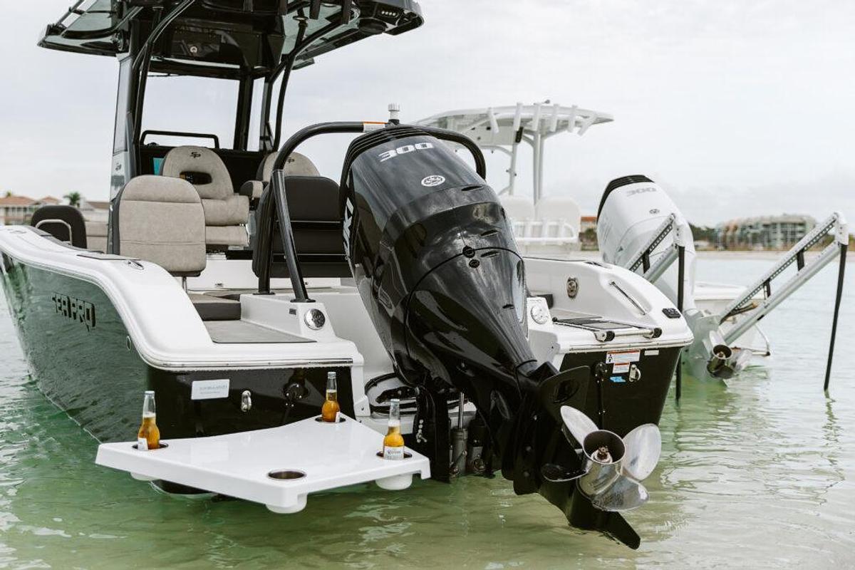 245FLX R Sandbar Boat