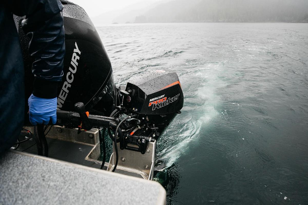 FourStroke ProKicker 9.9-25 hp