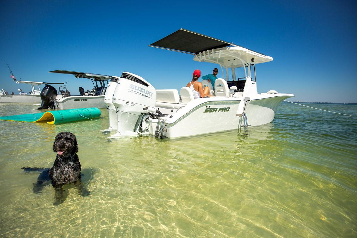 265 FLX Sandbar Boat