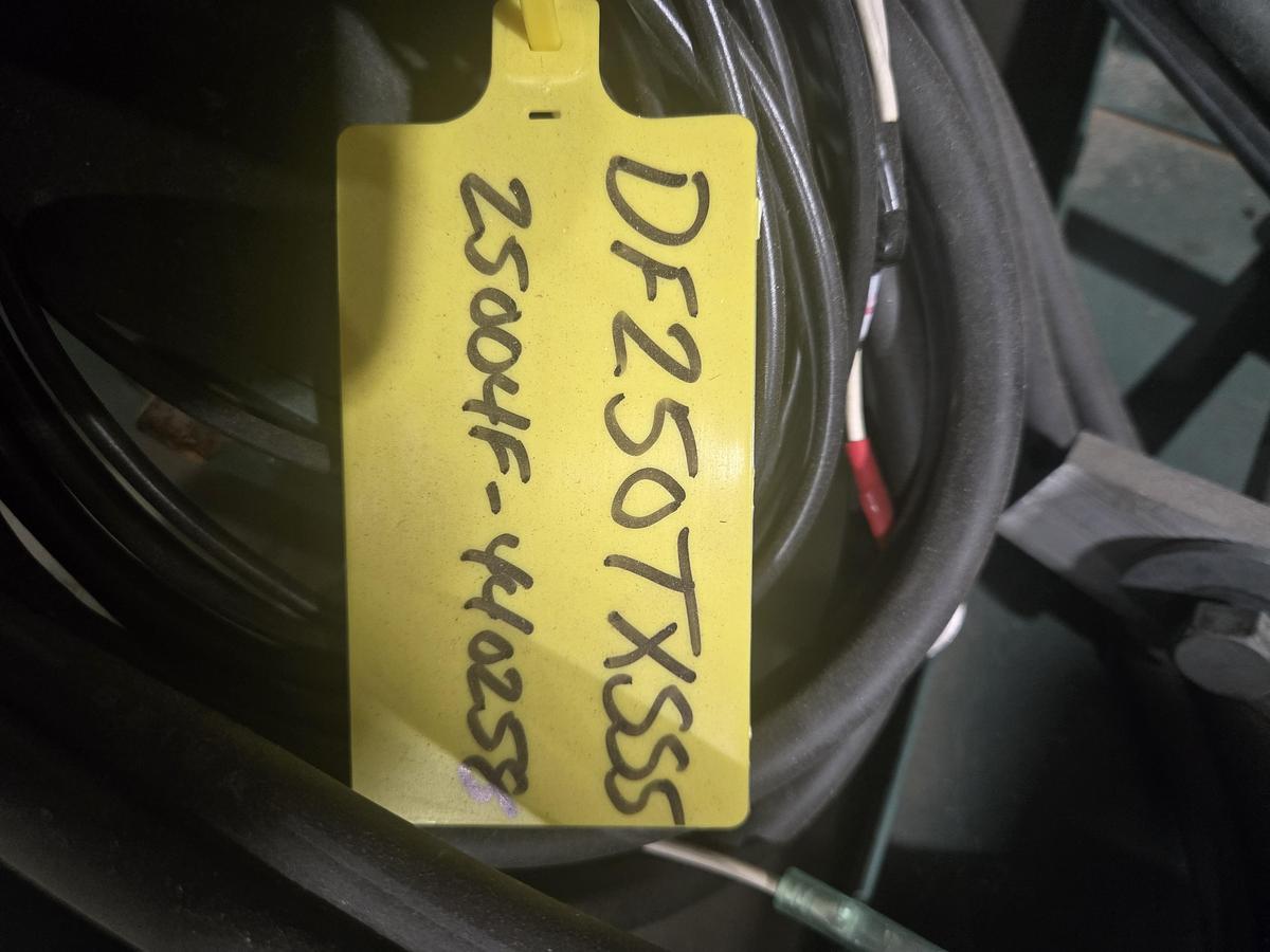 2024 Suzuki DF250TXSS
