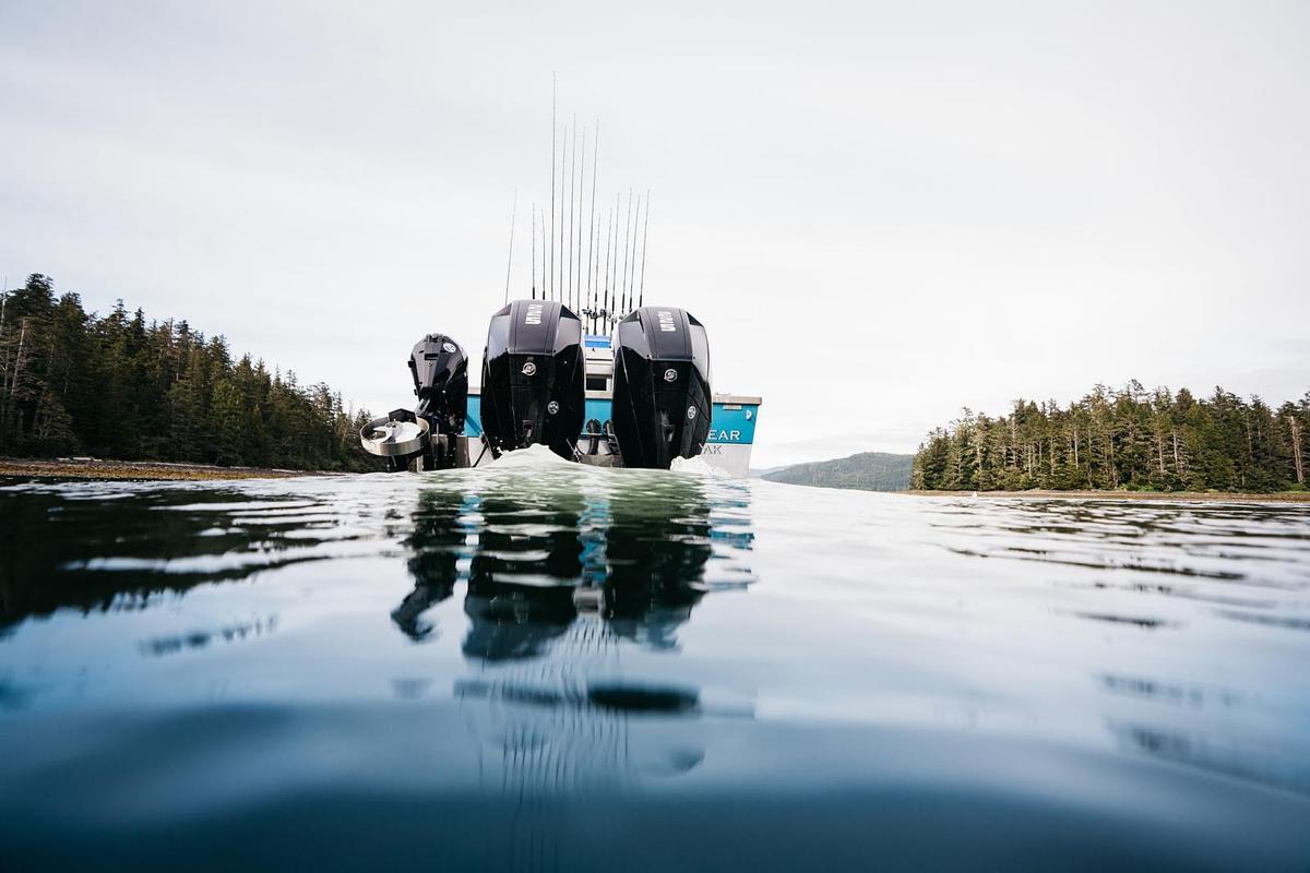 FourStroke ProKicker 9.9-25 hp