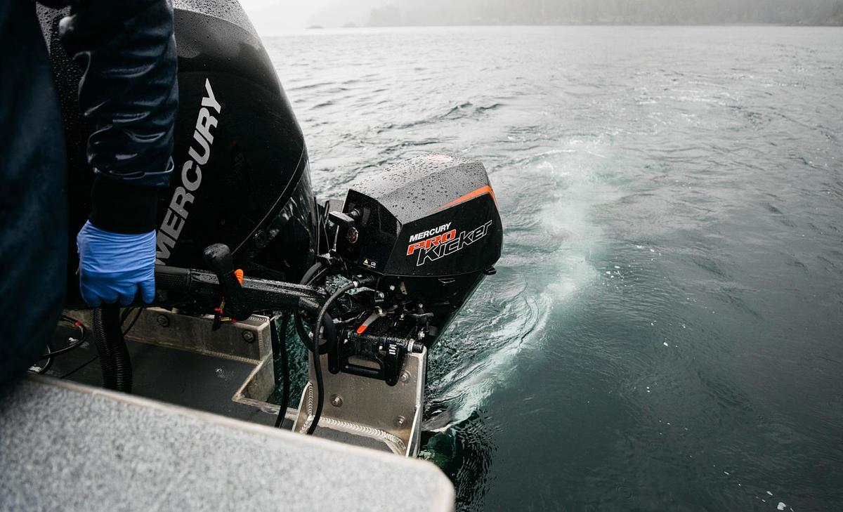 FourStroke ProKicker 9.9-25 hp