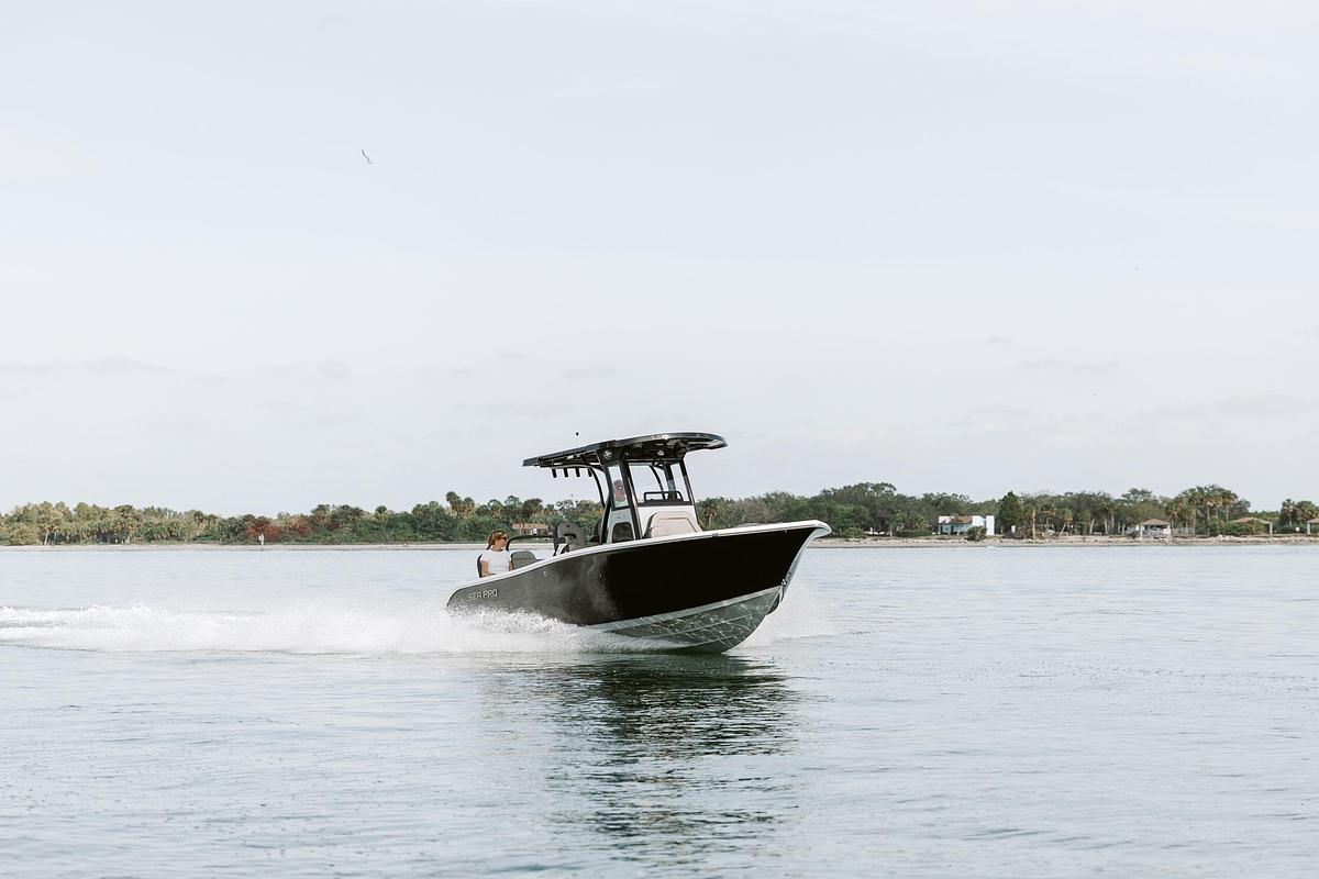 245FLX R Sandbar Boat