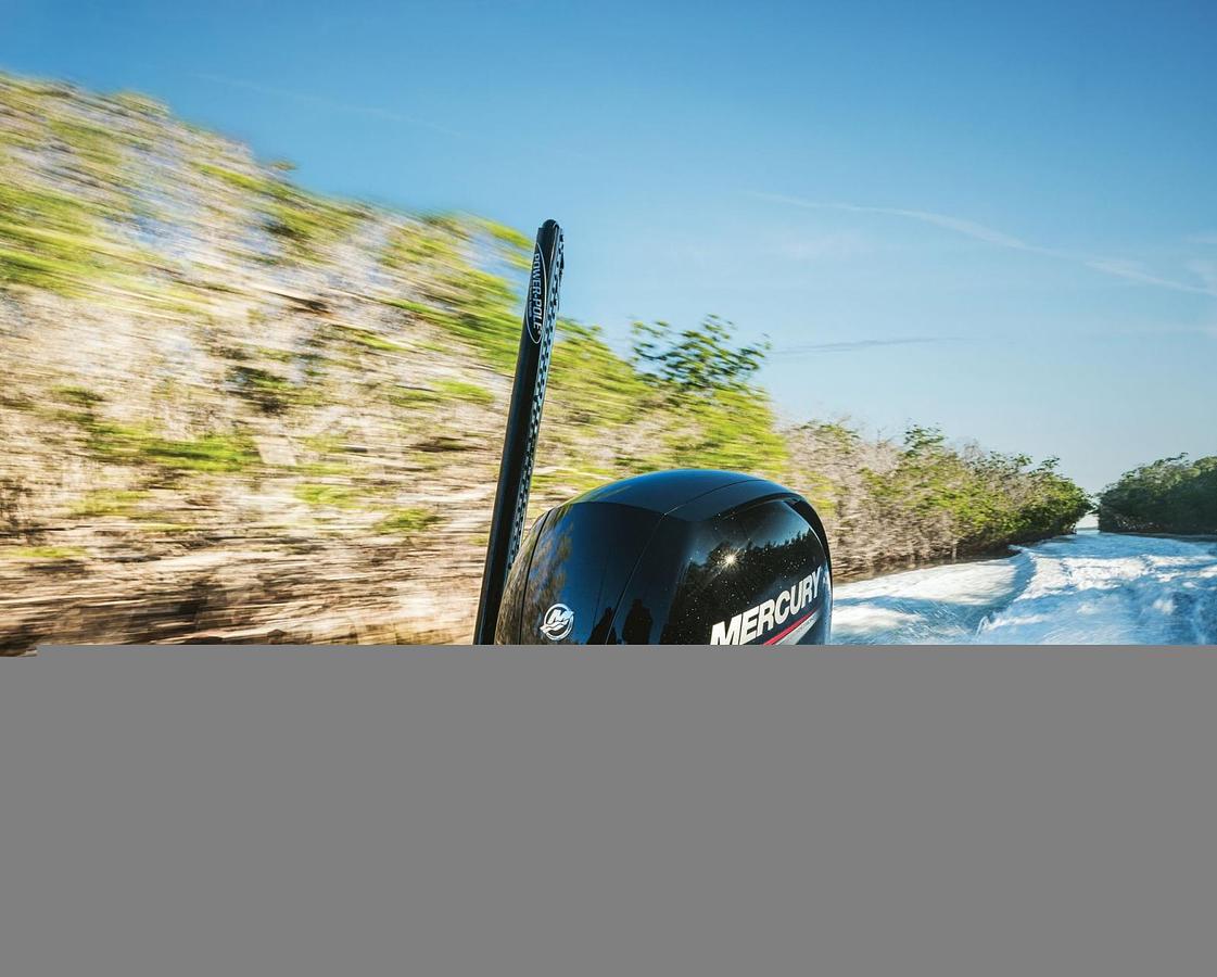FourStroke 25-30hp