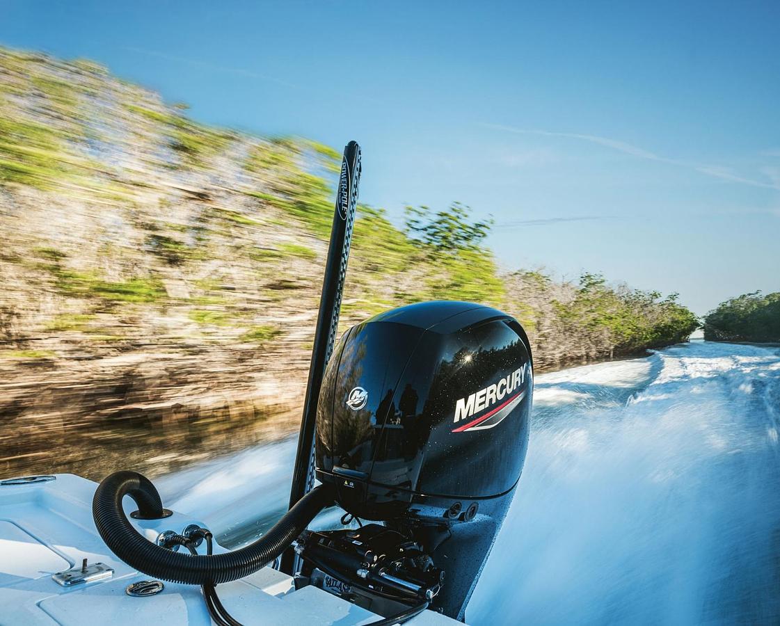 FourStroke 40-60 hp