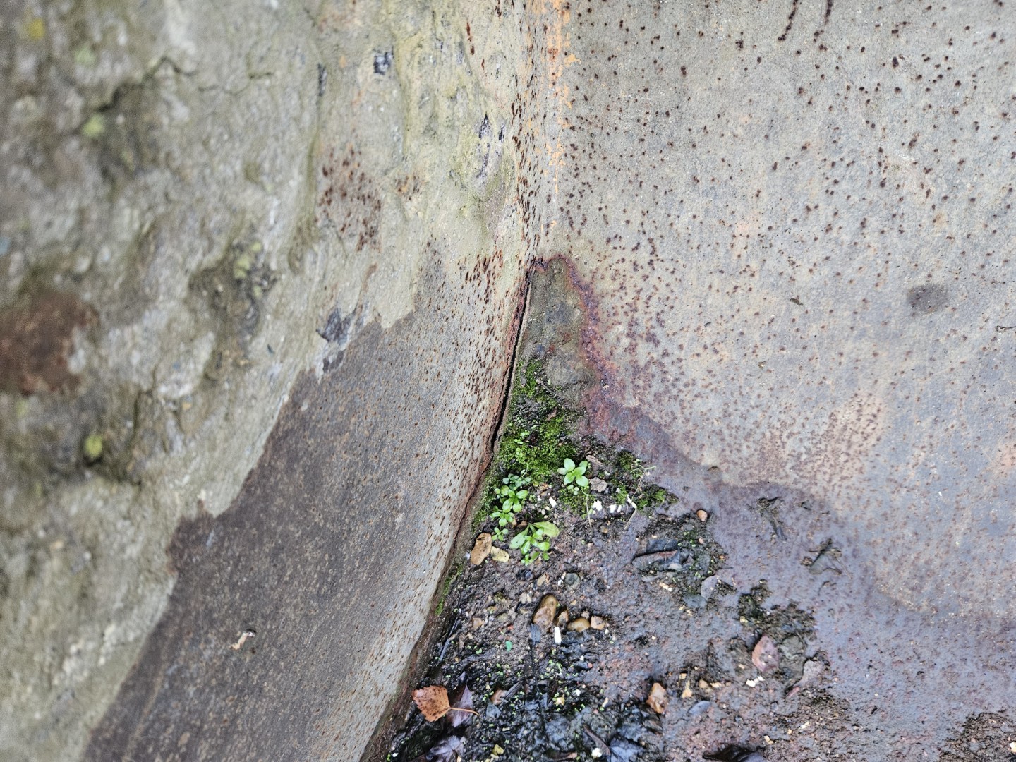 Used JCB Compact Tool Carrier Bucket