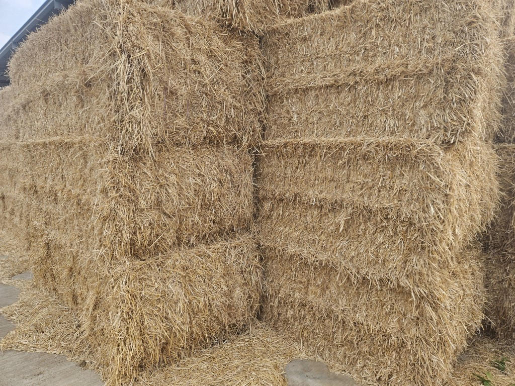 Used Winter Barley Straw