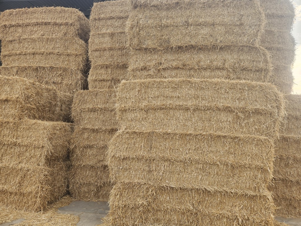 Used Winter Barley Straw