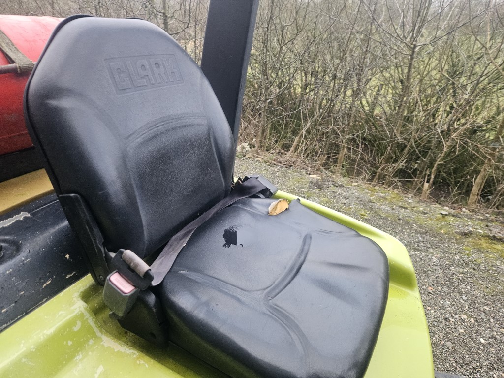 Used Clark C25L Gas/LPG Forklift