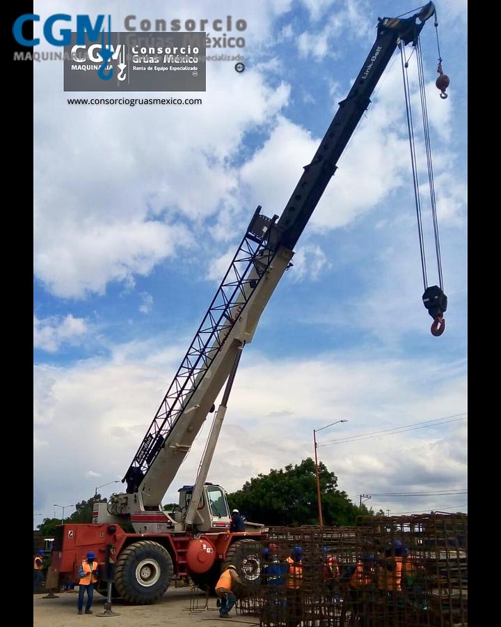 Usado LINK-BELT RTC-8065