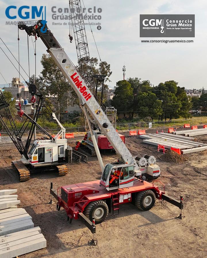 Usado LINK-BELT RTC-8065